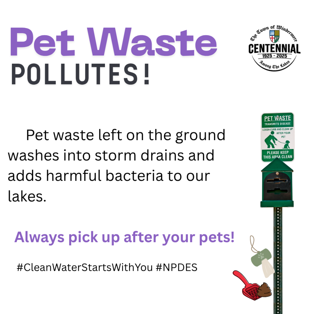 stormwater
