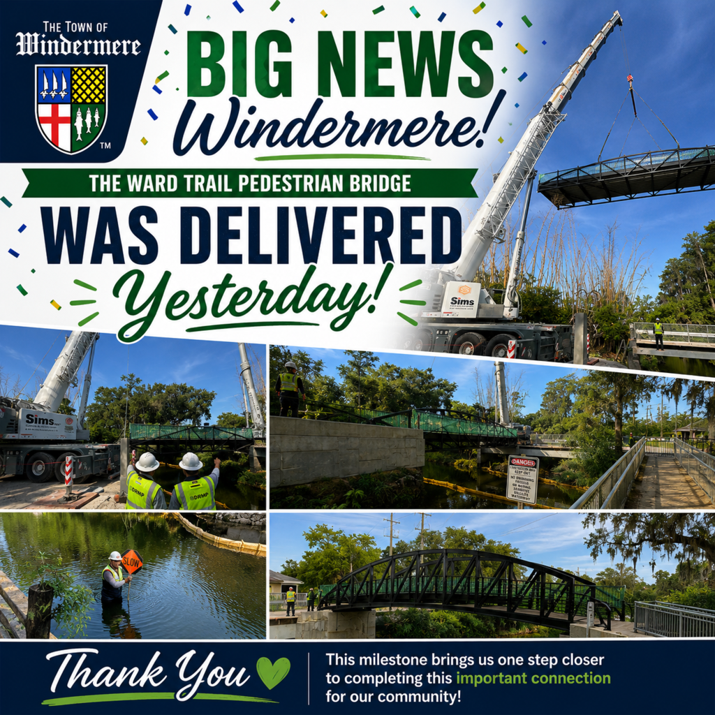 Bridge Project - Delivered