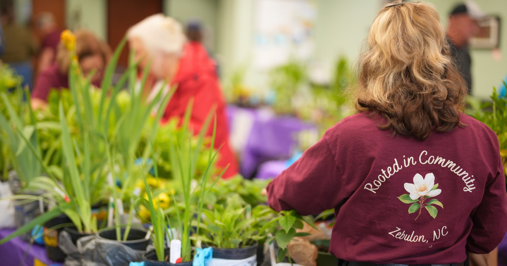 plants sale