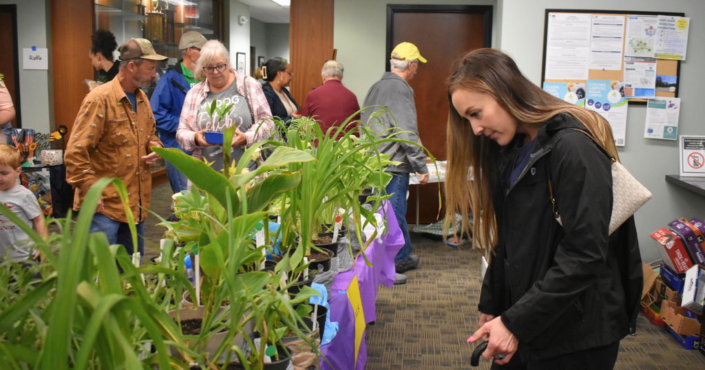 plants sale