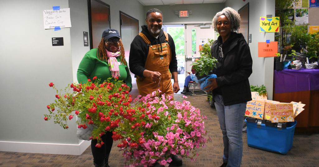 plants sale