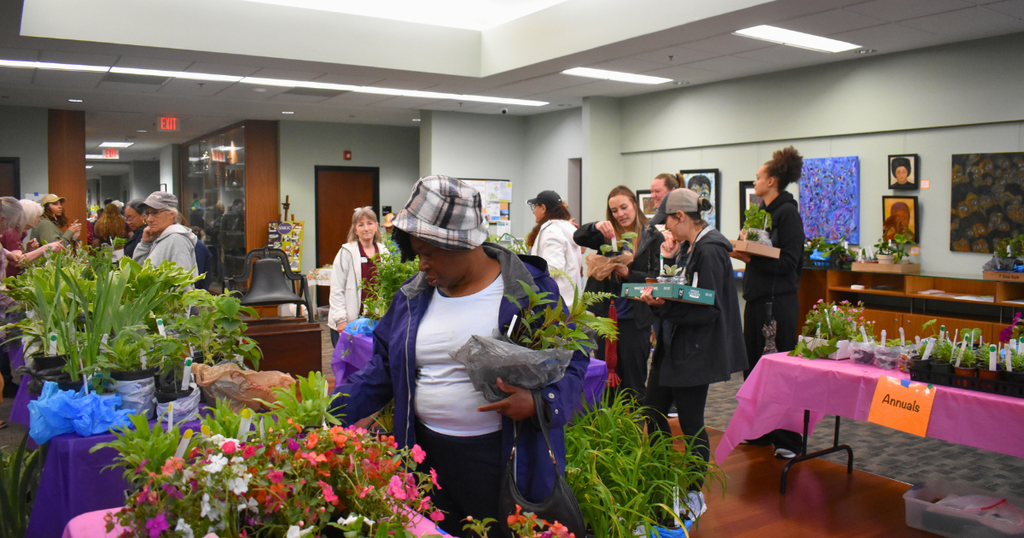 plants sale