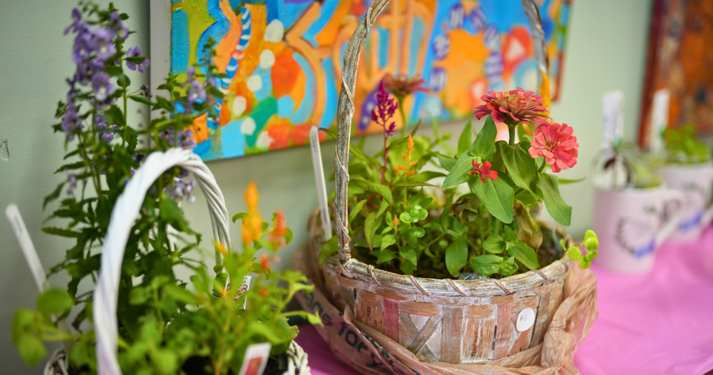 plants sale