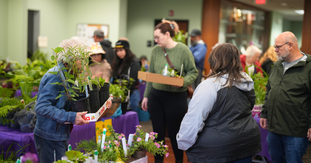 plants sale