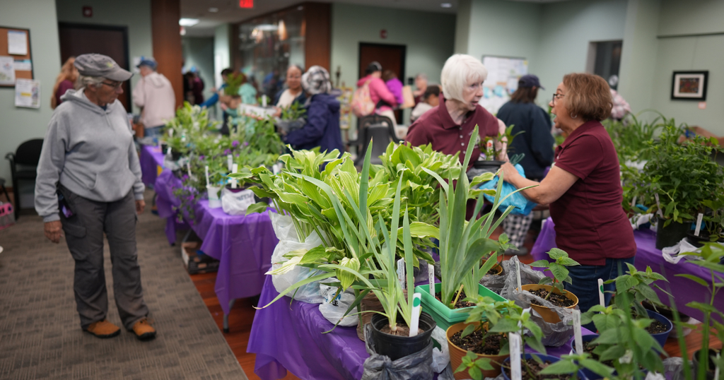 plants sale
