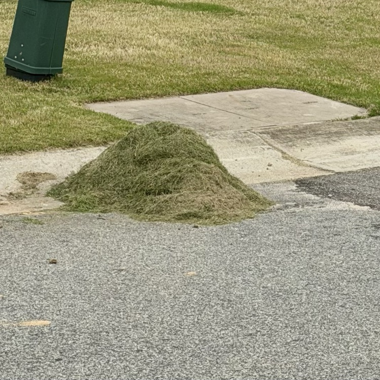 grass clippings