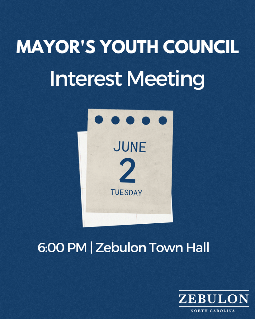 mayor's youth council