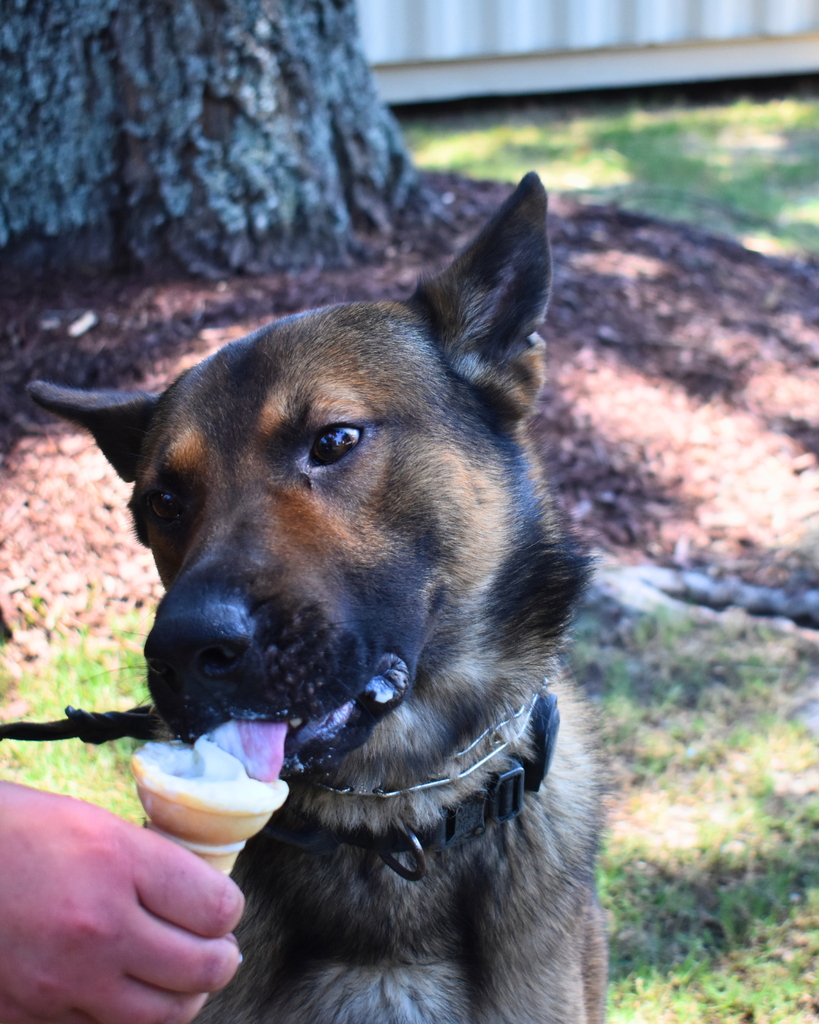 koda and ice cream