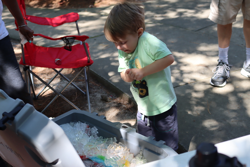Little boy looking in cooler of popsicles