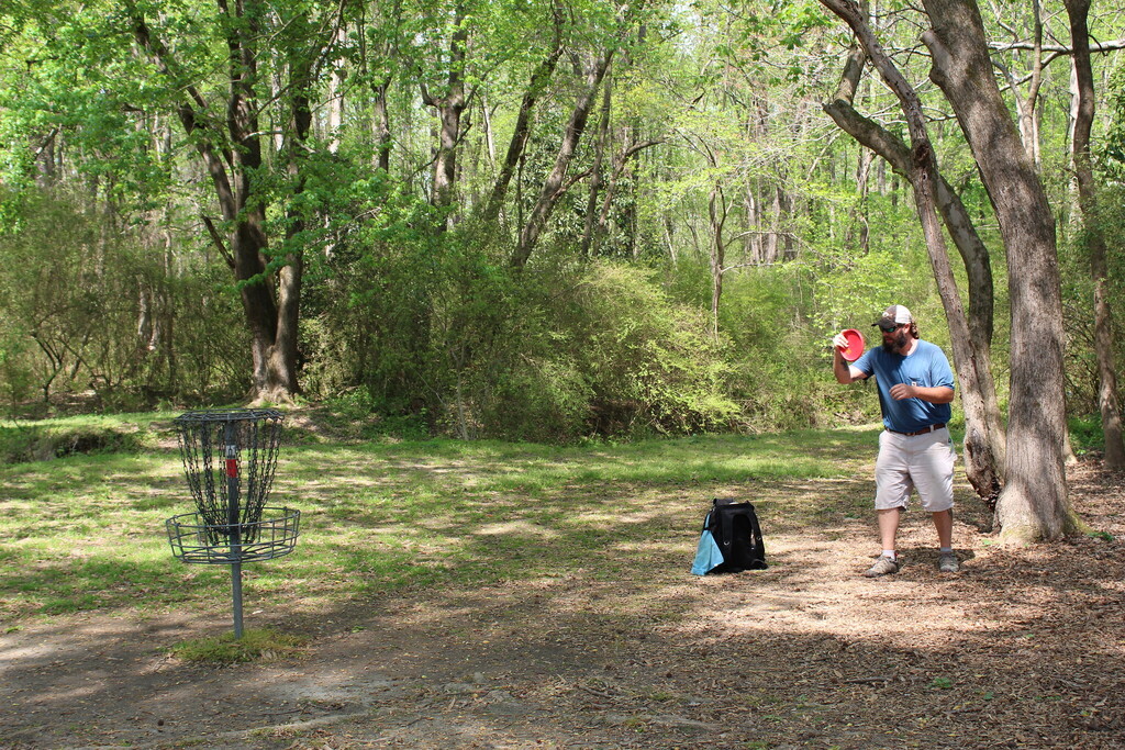 Man playing disc golf