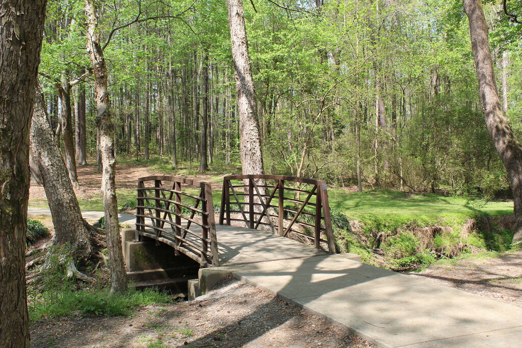 Bridge at the park.