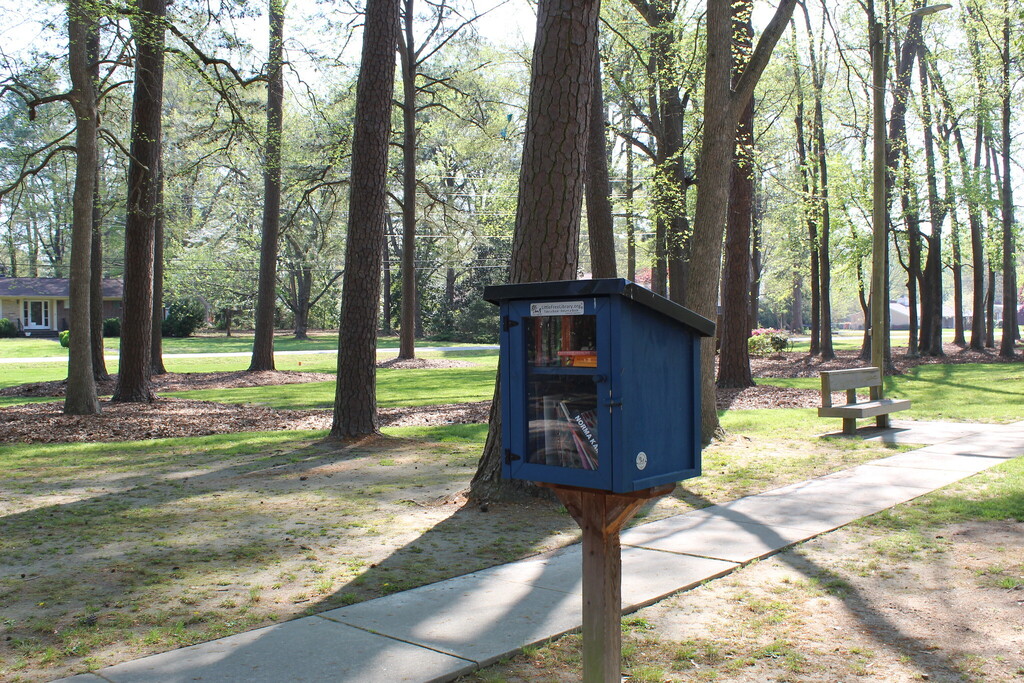 Free Little Library in the park