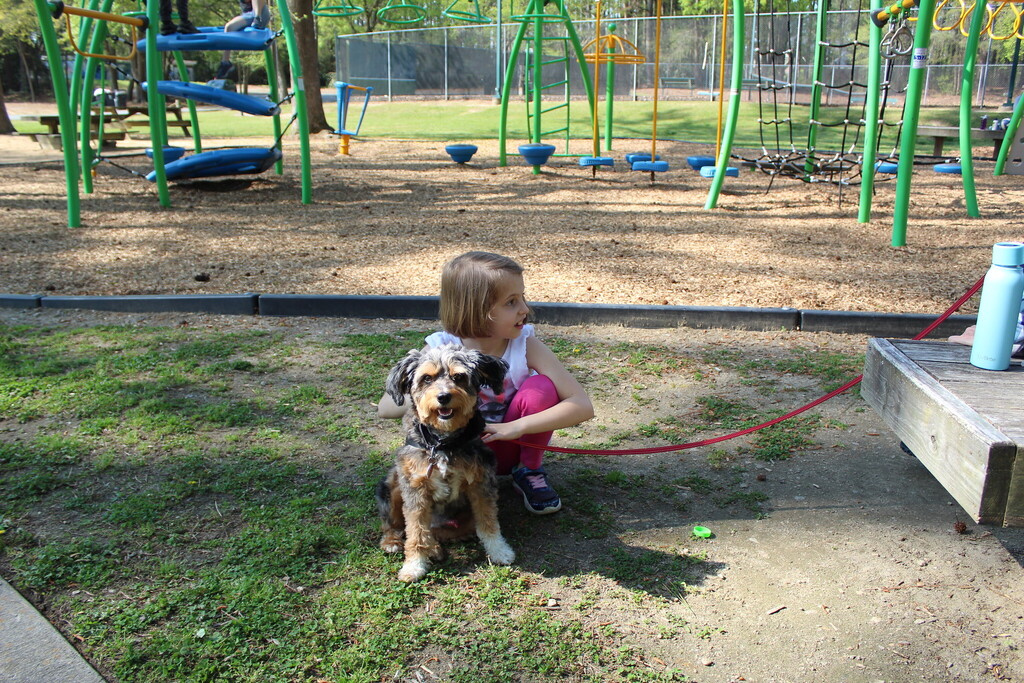 Little girl and dog posing for a photo on the playground