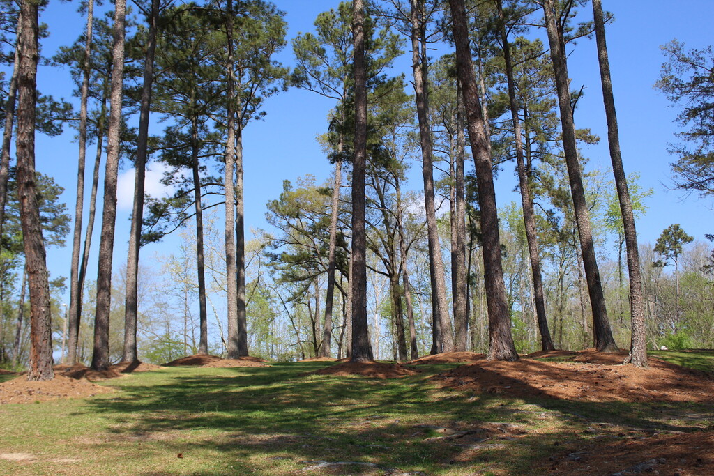 Little River Park