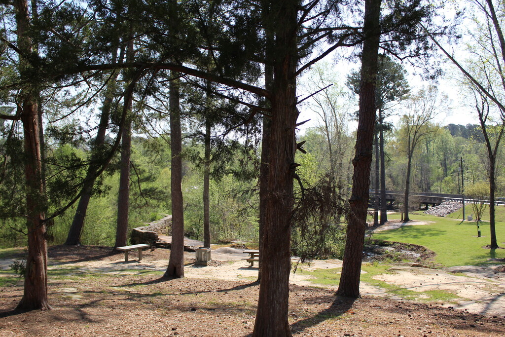 Little River Park