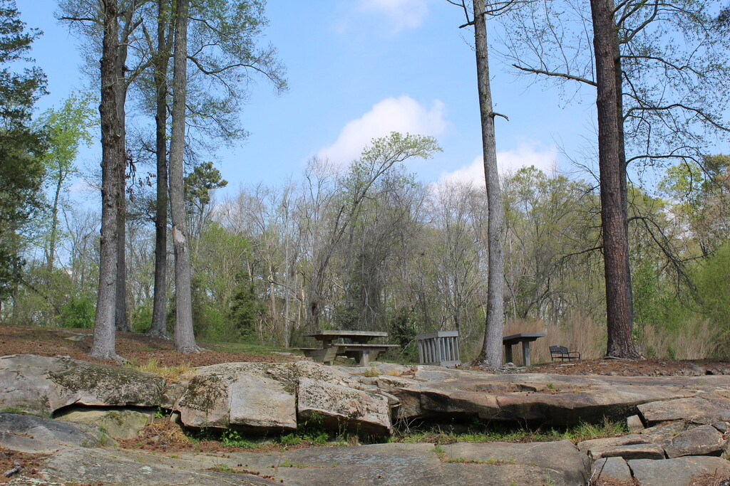 Picnic area at Little River Park