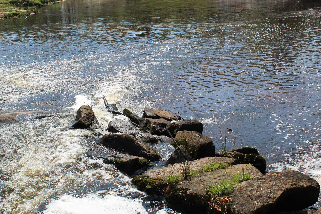 Water at Little river Park