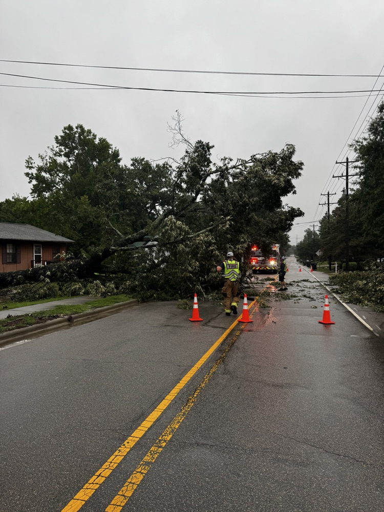 tree down
