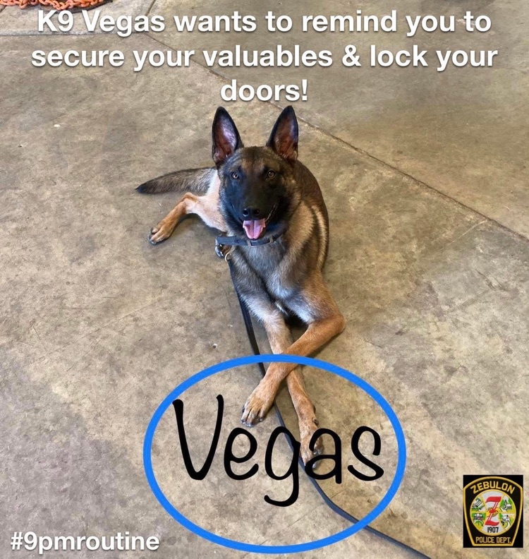 k9 Vegas