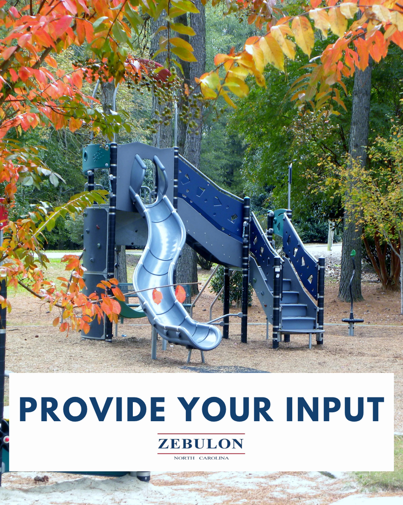 provide your input