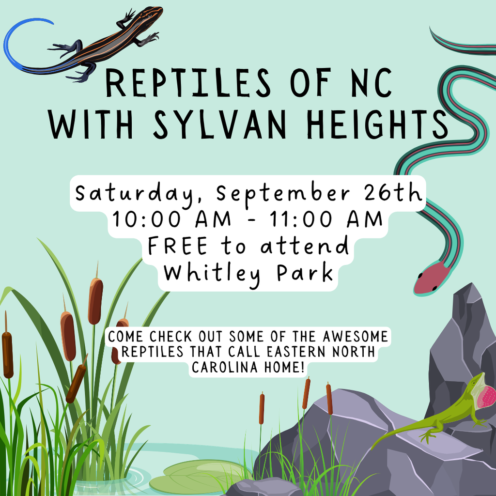reptiles flyer