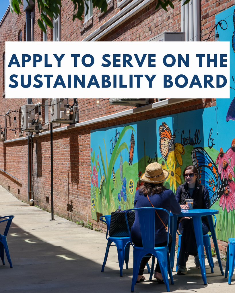 sustainability board