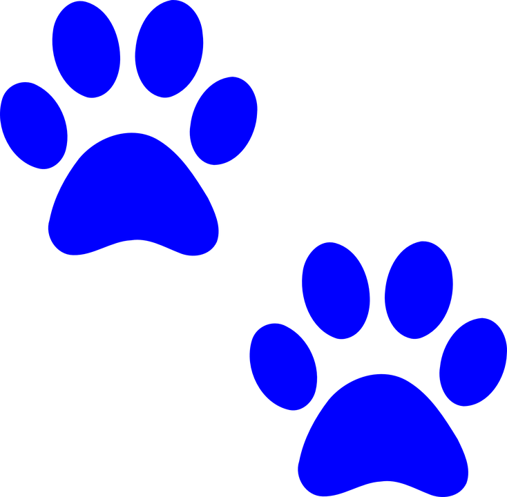 bd