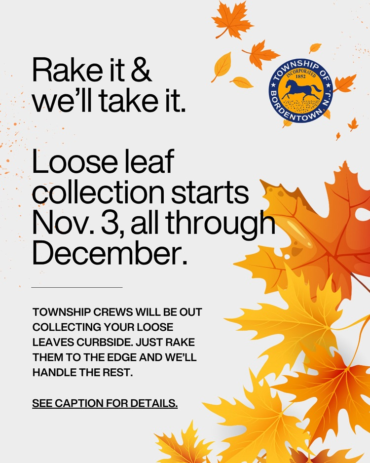 Loose Leaf Collection Begins 11/3