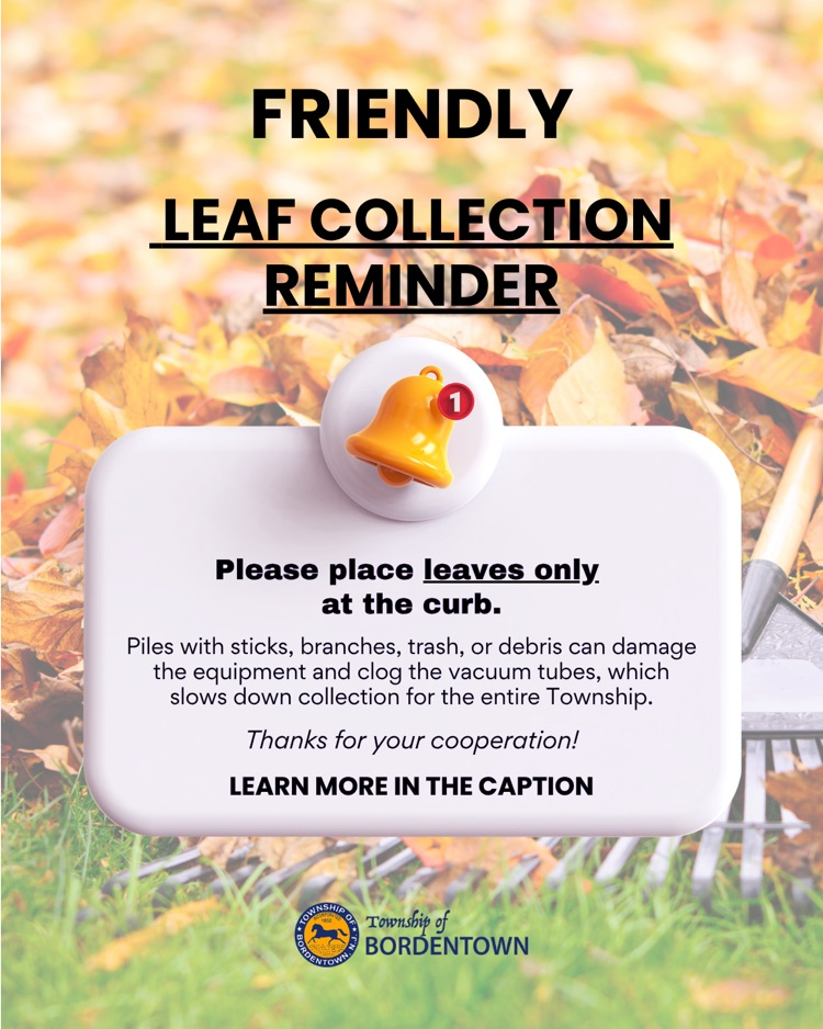 Leaf Collection Reminder