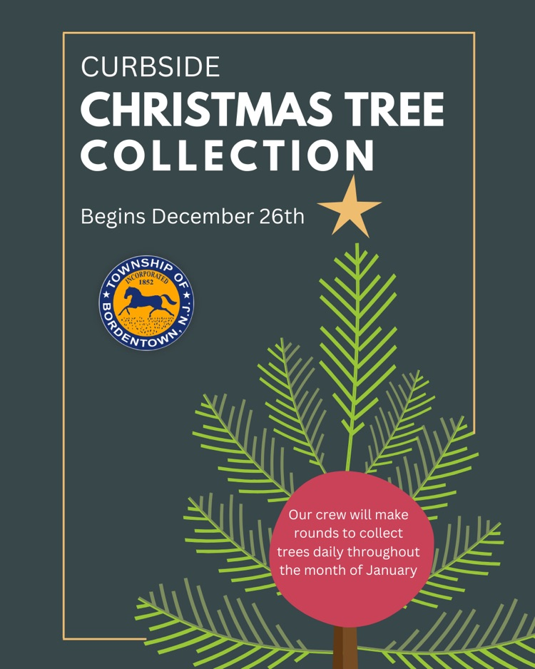 Curbside Tree Collection Begins Today