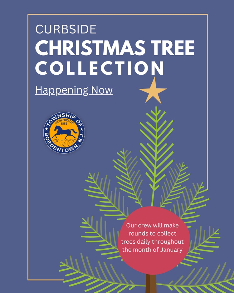Curbside Christmas Tree Collection is Happening Now