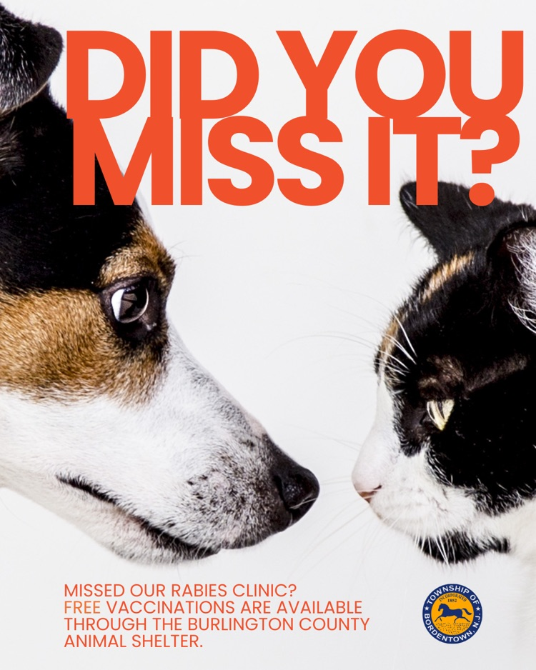 Missed our free rabies clinic?