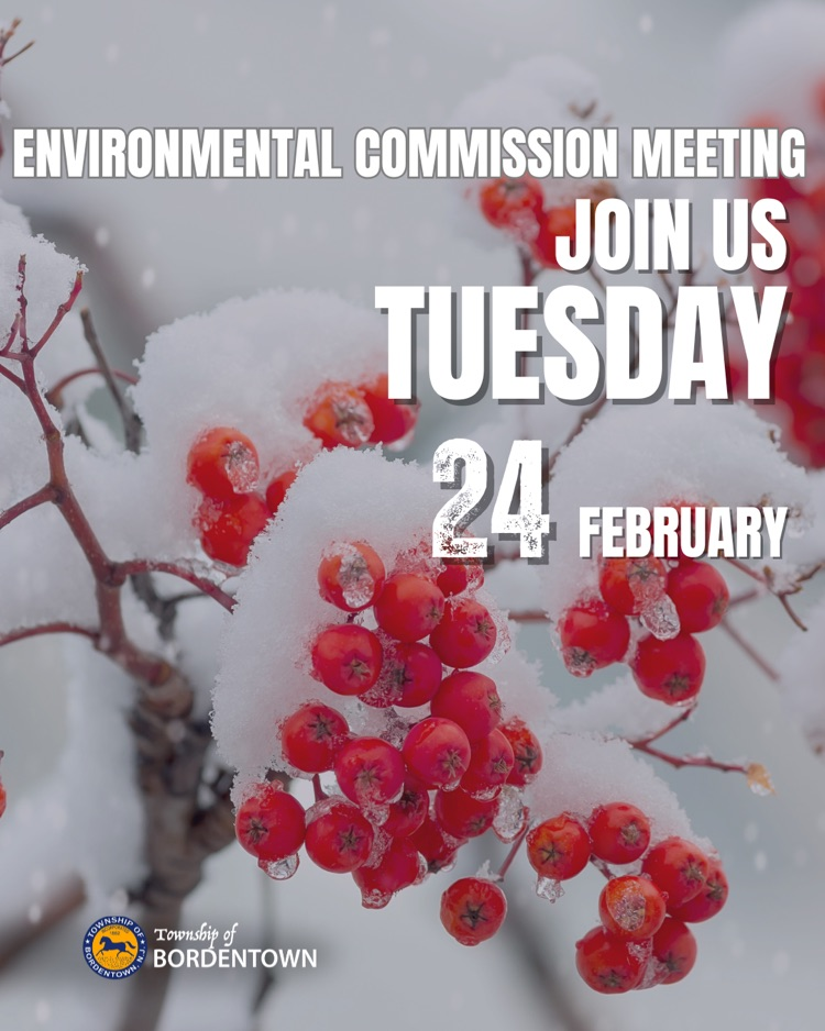 Environmental Commission Meeting on Tuesday, 2/24