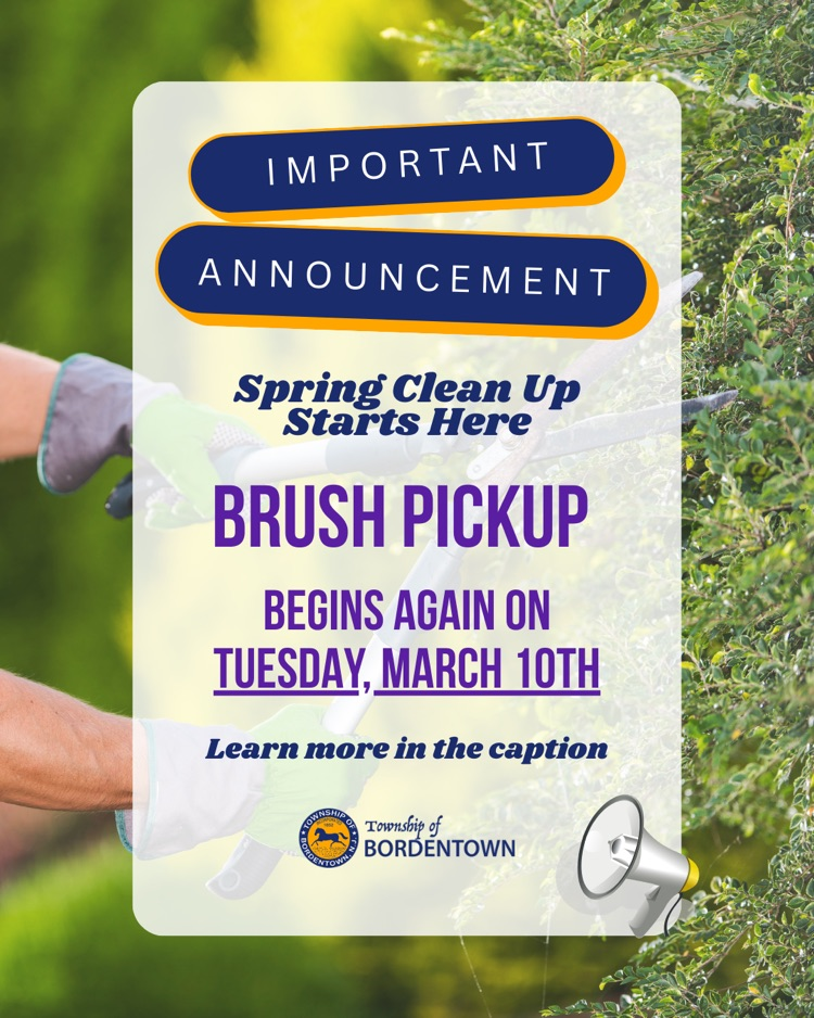 Brush Pickup is Begins Again on 3/10
