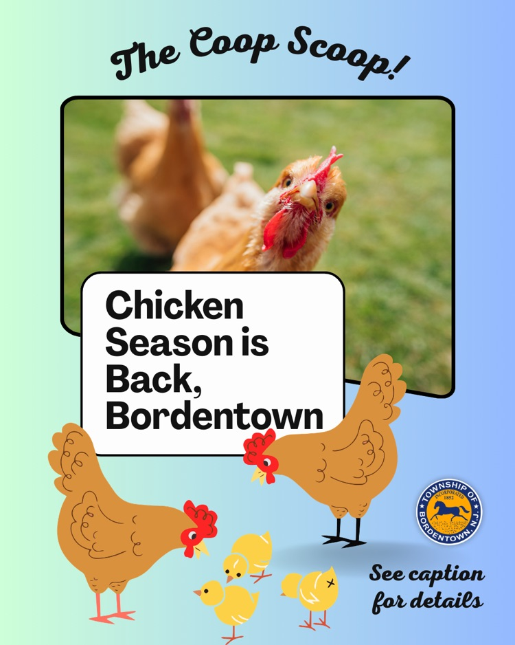 Chicken Season is Back, Bordentown!