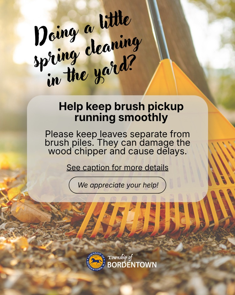 Please keep leaves separate from brush