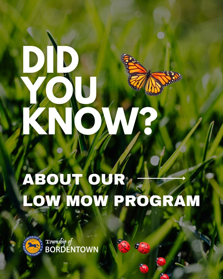 Low Mow Program