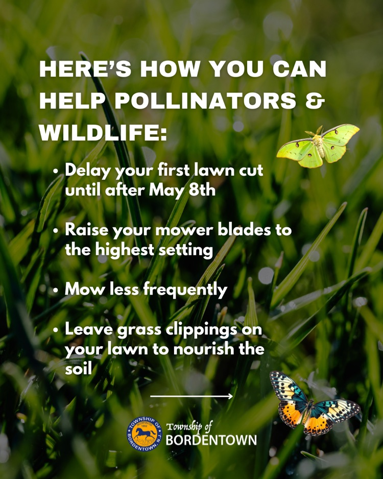 Low Mow Program
