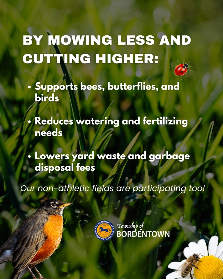 Low Mow Program