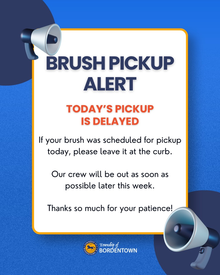Brush Pickup Delay
