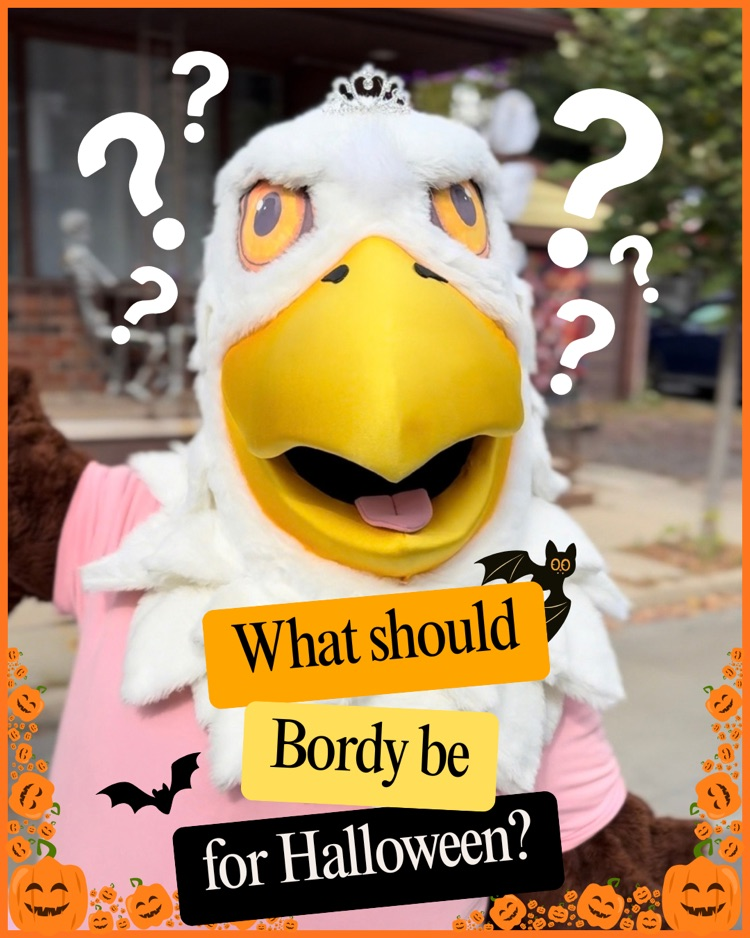 What Should Bordy be For Halloween?