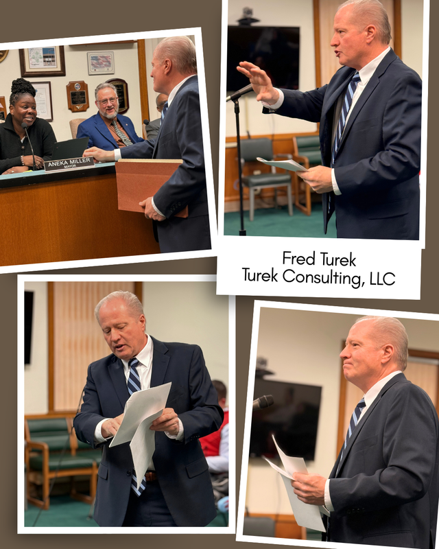 Fred Turek Consulting LLC