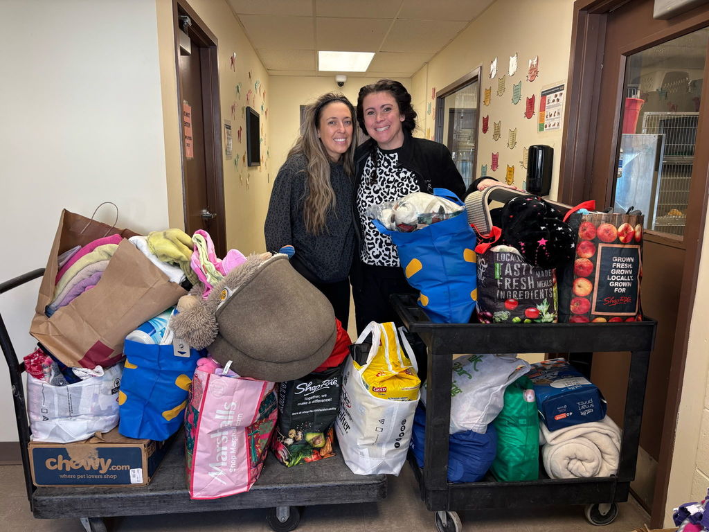 Animal Shelter Donation