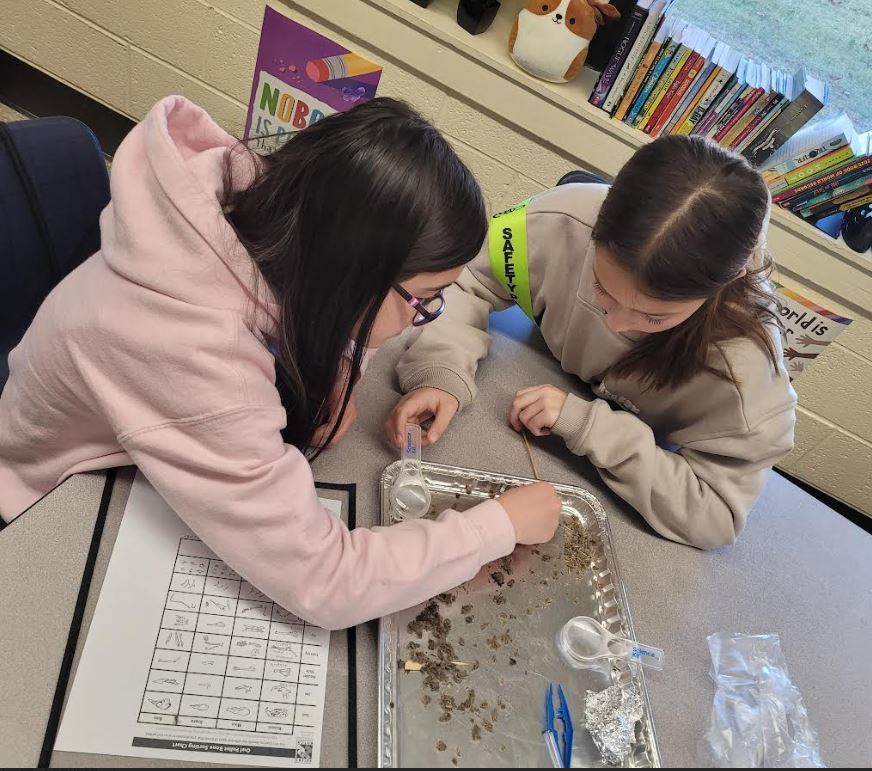 Our Week at Reutter School