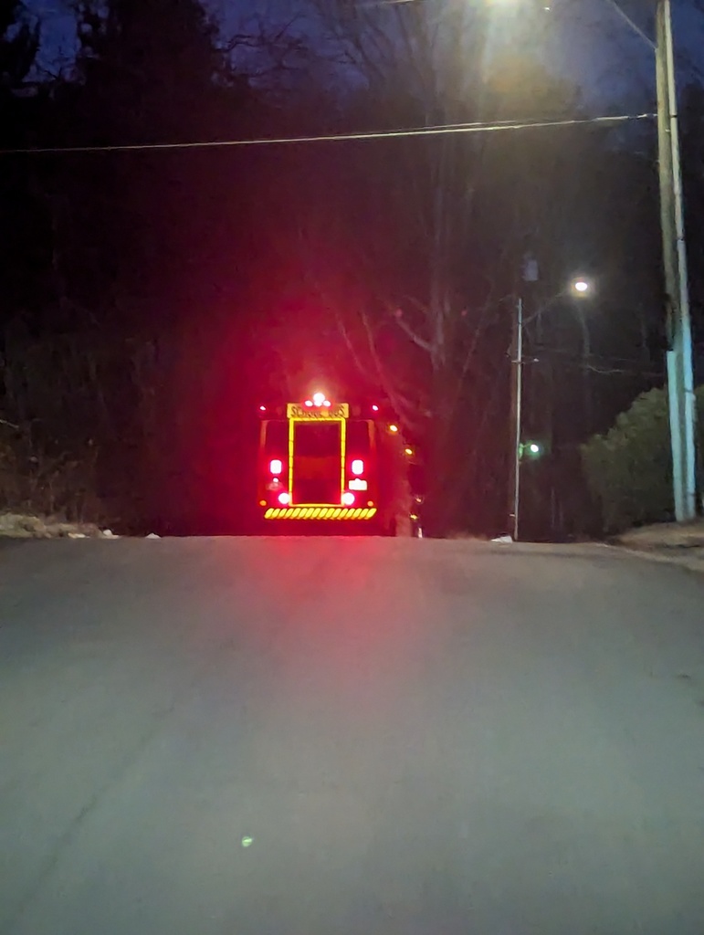 bus