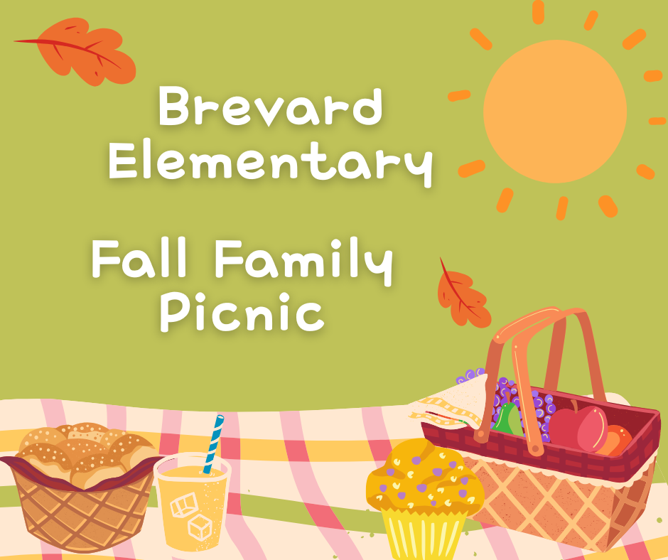 Family Picnic