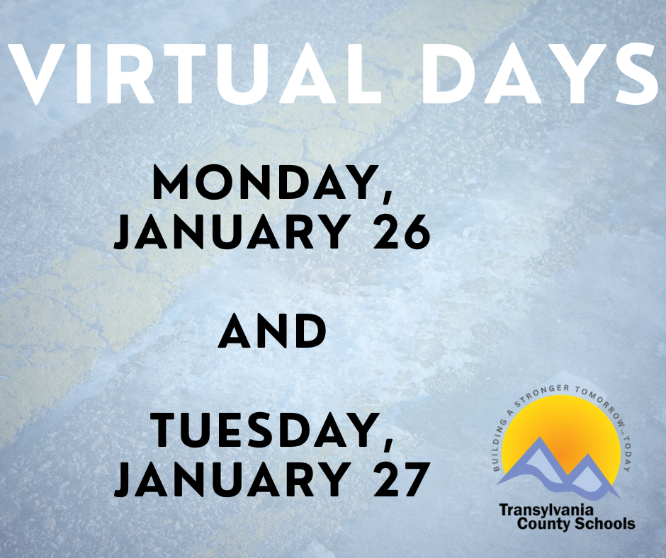 virtual days