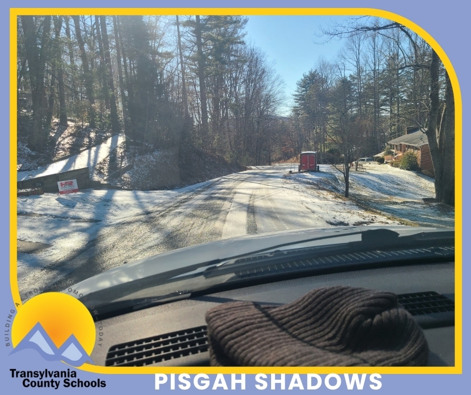 pisgah shadows