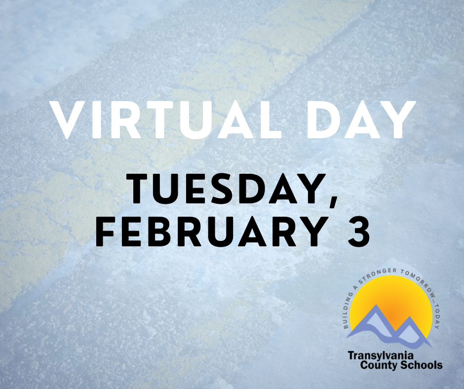 virtual day