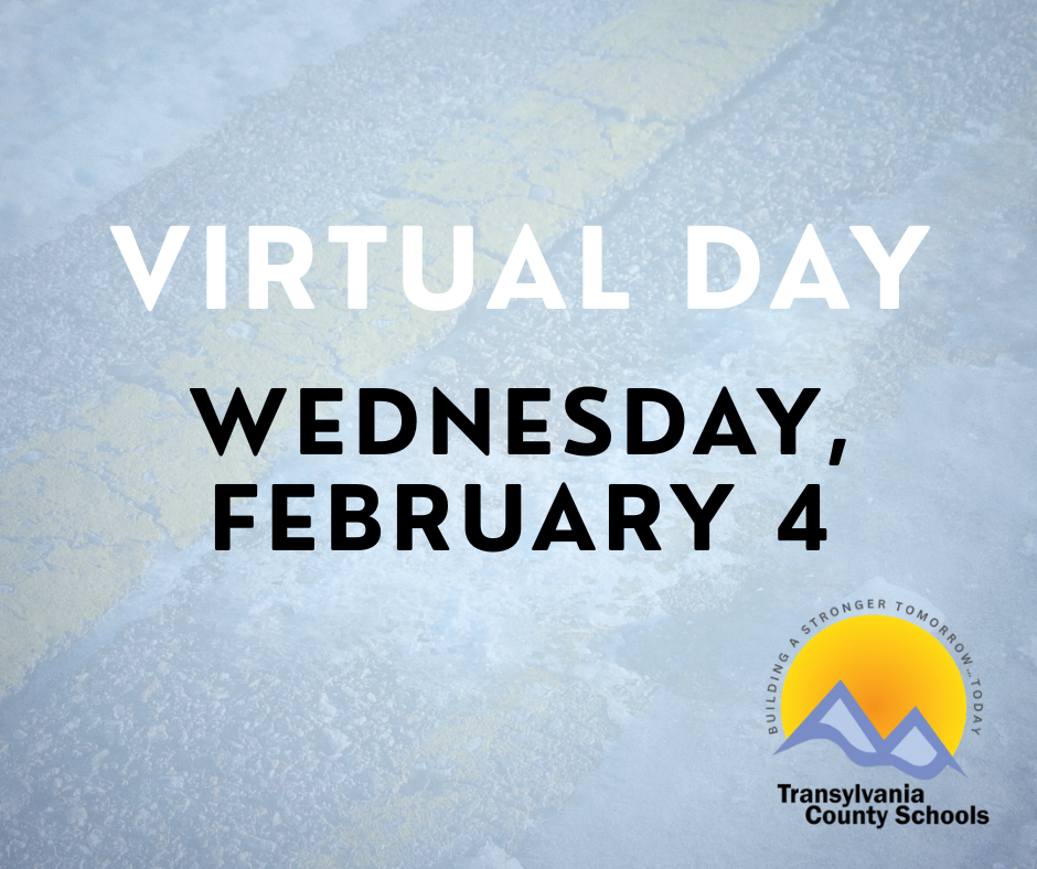 virtual day